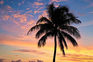 Obraz premium A silhouette of a palm tree with coconuts against a sunset sky