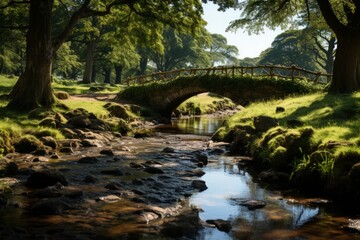 Fototapeta na wymiar A bridge spans a stream in a forest, blending art with natural landscape