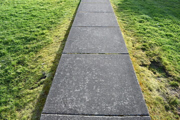 Sidewalk with beautiful green grass on both sides.