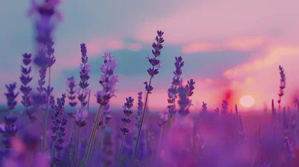 Zelfklevend Fotobehang Lavender Sunset Landscape Photography. © Newaystock