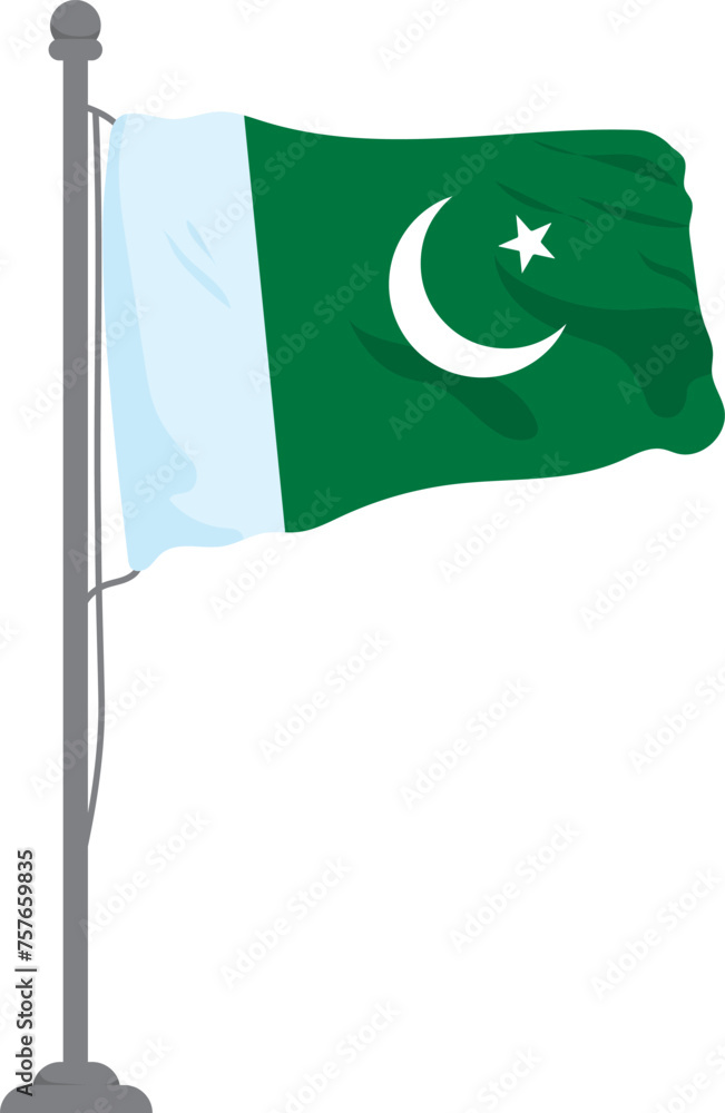 Wall mural pakistan day flag