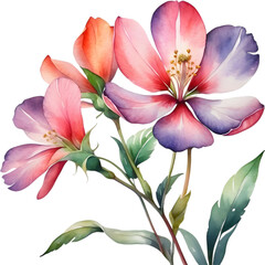 Watercolor flower with leaves painting.