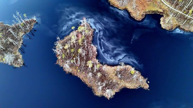 A blue body of water with a small island in the middle. The island is surrounded by trees and has a few small trees on it. The water is calm and peaceful