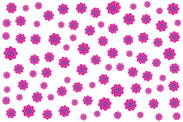 Illustration wallpaper of Abstract flower on white background.