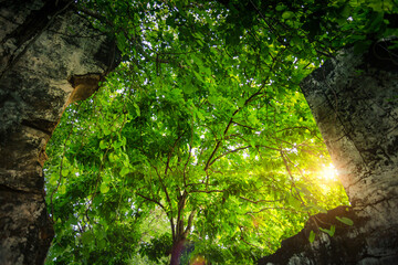 Forest and tree landscape texture abstract background, Aerial top view forest atmosphere area, Texture of forest view from above, Ecosystem and healthy ecology environment concepts.