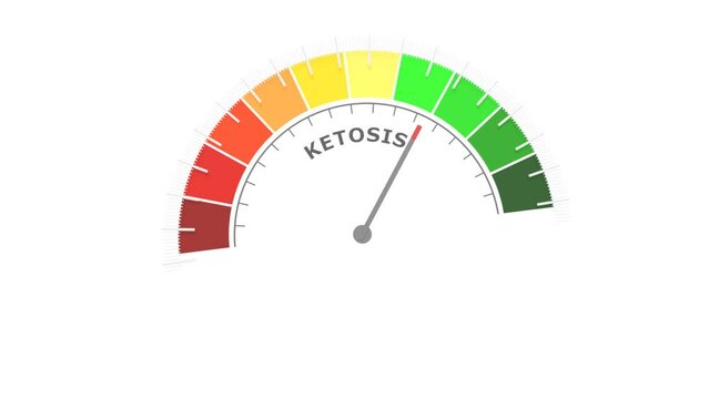 Ketosis level on measure scale. Instrument scale with arrow. Colorful infographic gauge element. Ketosis is a metabolic state
