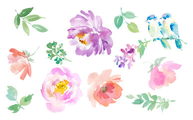  Set of Abstract peonies, Birds, and Floral Background Illustrations Painted in Watercolor