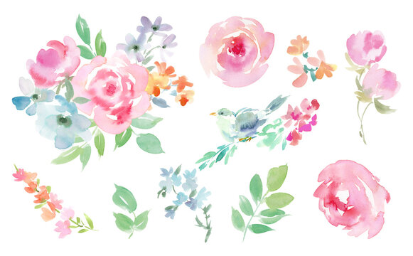 Set of Abstract Roses, Birds, and Floral Background Illustrations Painted in Watercolor"
