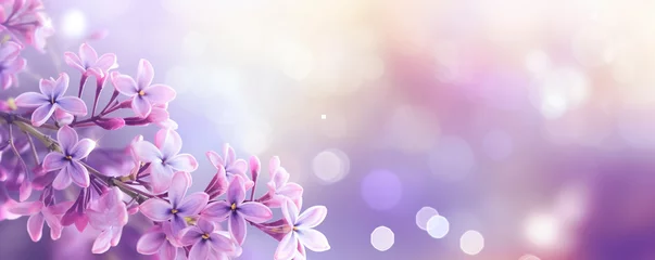 Schilderijen op glas Beautiful lilac flower background © FATHOM