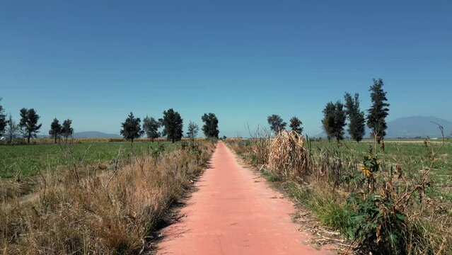 Camino largo de sembrad&iacute;os entre pastizales y &aacute;rboles alrededor para senderismo y caminatas excursiones al fondo el cielo azul degradado hermoso paisaje soleado en el d&iacute;a