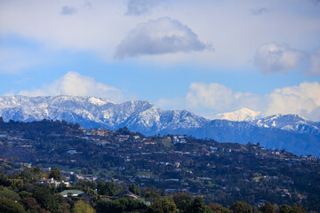 Winter Landscape in Los Angeles, CA