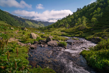 View of the Malaya Dukka River against the backdrop of the mountains of the North Caucasus on a sunny summer day, Arkhyz, Karachay-Cherkessia, Russia © Ula Ulachka