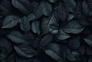 Fototapeta premium A leaf pattern forms a black wall background for a desktop, its lush scenery, mysterious backdrops, felinecore, and naturalist aesthetic apparent.