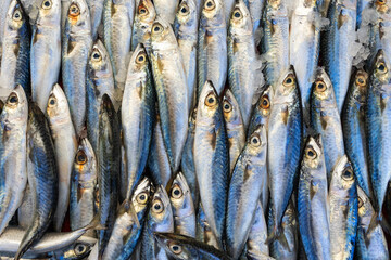 Obraz premium Frozen Symmetrical Fish at Eminonu Fish Market Photo, Eminonu Fatih, Istanbul Turkiye (Turkey)