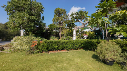 Fototapeta na wymiar Bush, Yard - Grounds, Public Park, Formal Garden, Tree