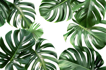 Fototapeta na wymiar Leafy Nature Pattern with Seamless Background