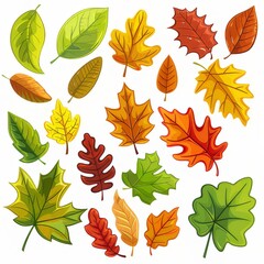 Clip art of various types of autumn leaves on a white background.