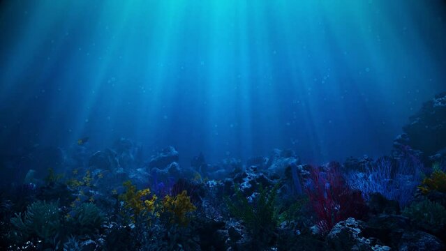 Underwater Coral Barrier with Swimming Fish - Loop Ocean Landscape Background