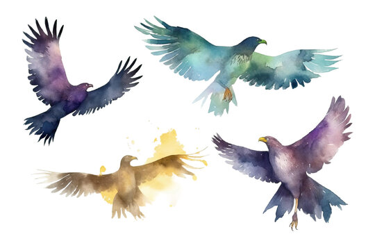 eagles isolated flying background illustration birds watercolor white set