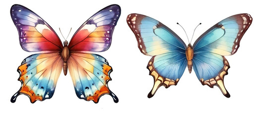 Colorful butterflies, isolated on white background. Watercolor illustration.