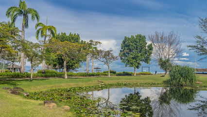 Obraz premium Water lilies bloom in the decorative pond of the tropical park. Green grass on the lawn. Deciduous trees, palms against a blue sky and clouds. Reflection. Malaysia. Borneo. Kota Kinabalu.