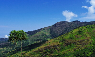 Fototapeta na wymiar panoramic view of lush green palani mountain range from kodaikanal hill station in tamilnadu, south india