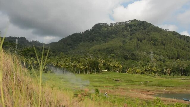 Panoramic landscape of Indonesian rice field terraces on a mountain ricefield terrace super wide ric