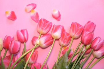 Bouquet of pink tulips on pink background, top view. Mother's Day, Valentine's Day. Birthday celebration concept. Greeting card. Vertical image. Blurred soft focus