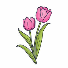 Tulips are a type of flower that is famous for its beauty and diversity of colors. This flower comes from the Tulipa genus and is part of the Liliaceae family and is considered a symbol of love and be