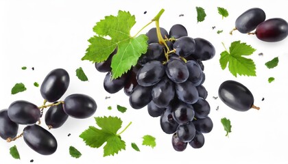 Black grapes with green leaf flying in the air isolated on white background.. top view - obrazy, fototapety, plakaty