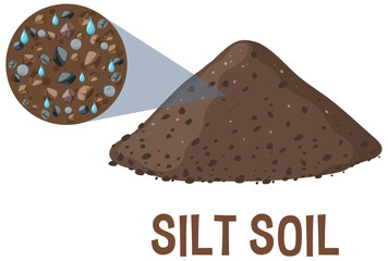 Detailed vector of silt soil and its components