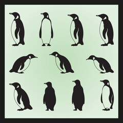 Obraz premium Penguin silhouette set Clipart on a hex color background