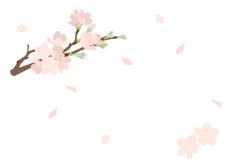 桜が舞い散る背景用ベクターイラスト