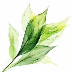 green leaf isolated on white, abstract magic green leaf on white background by generative AI.
