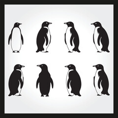 Obraz premium Penguin silhouette set Clipart on a hex color background