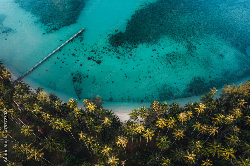 Wall mural aerial view island and coconut groves on the island in the morning