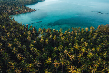 Aerial view island and coconut groves on the island in the morning