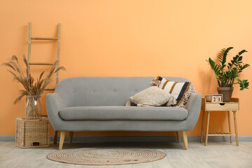 Grey sofa with cushions, wooden ladder, houseplant and pampas grass on stool near peach wall