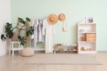 Interior of light room with rack of stylish clothes, houseplant and shelf with shoes