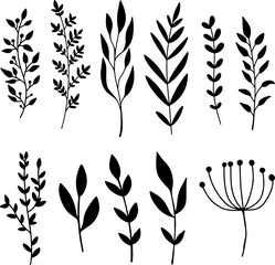 Set of hand drawn floral branches. Design element for decoration. Vector illustration - 757734230