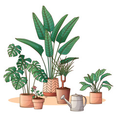 Composition of different houseplant. Vector illustration of monstera, strelitzia, aglaonema. Hand drawn illustration of dracaena plant. Interior, flower shop, home garden concept. Potted plants.