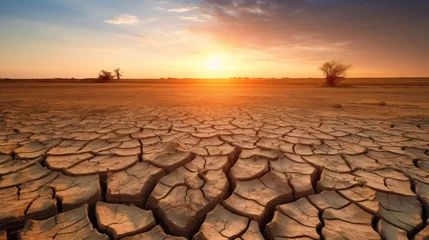 Tragetasche ground is dry and cracked, showing drought problems. © venusvi