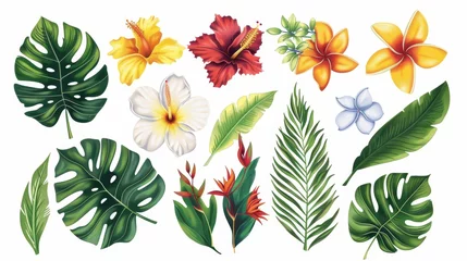 Papier Peint photo Plantes tropicales An assortment of traditional and tropical flowers and leaves