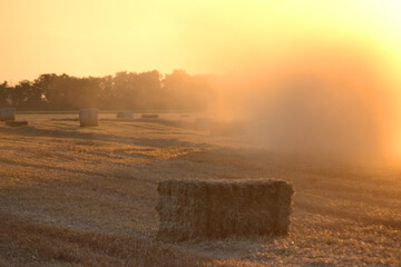 Combine harvester pressing straw from field into bales driving field on sunny summer evening. Field...