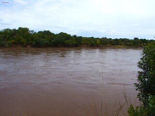 mara river