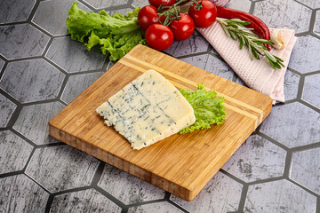 Gourmet blue cheese with mold