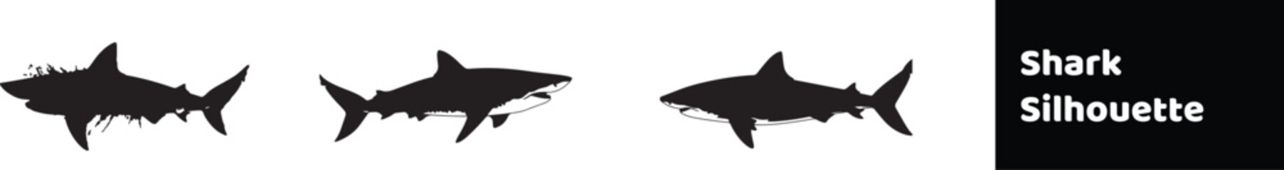 Shark Silhouette stock illustration 