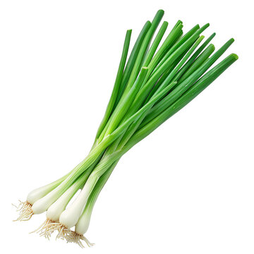 Fresh spring onions with vibrant green stalks isolated on transparent background PNG. Studio food photography with close-up detail. Cooking ingredients concept. Design for menu, recipe book, food blog
