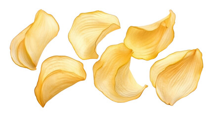 Dried apple slices isolated on transparent a white background