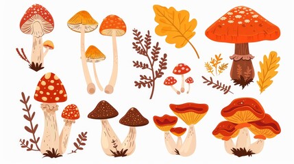 The autumn mushrooms set. Edible fungi. Gilled agarics, Lactarius resimus, chanterelle, and russula. Nature's food plants. Botanical flat modern illustration on white. - obrazy, fototapety, plakaty